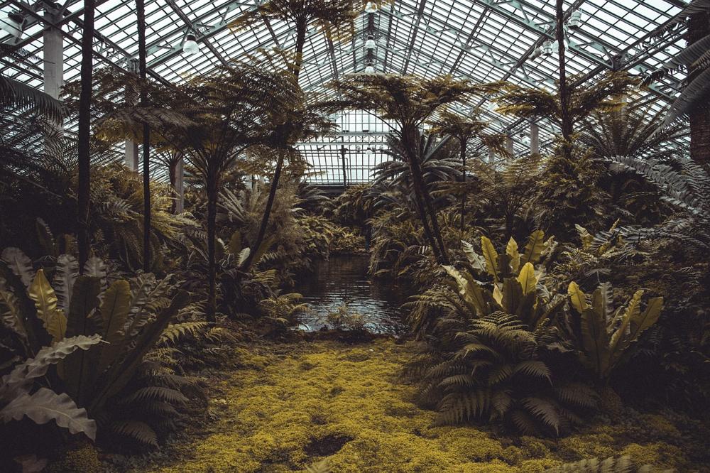 diverse ecosystem